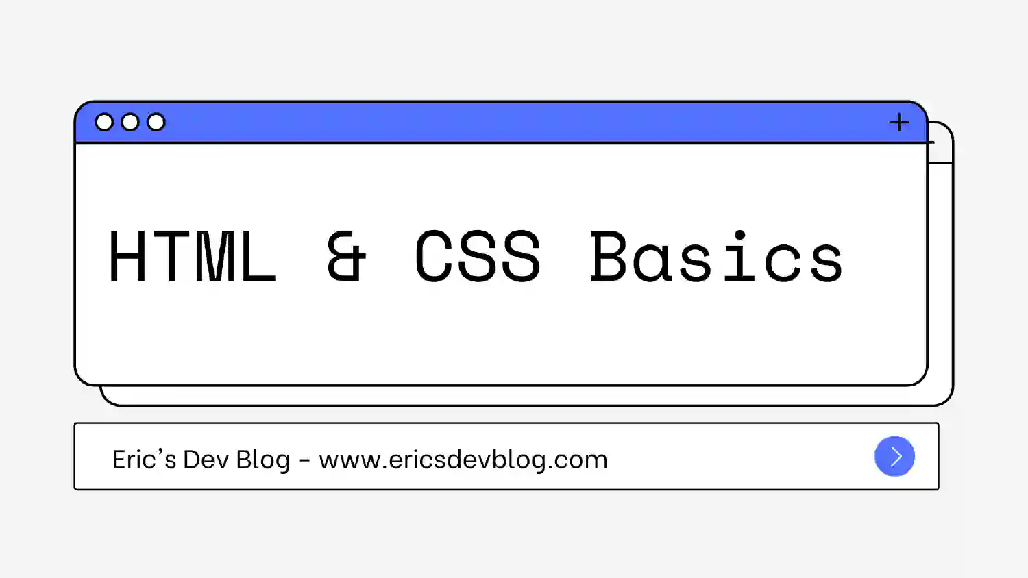 HTML Basics #1